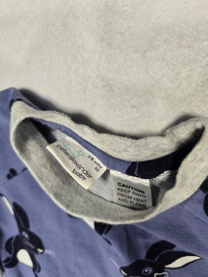 Peter Alexander: Pajamas