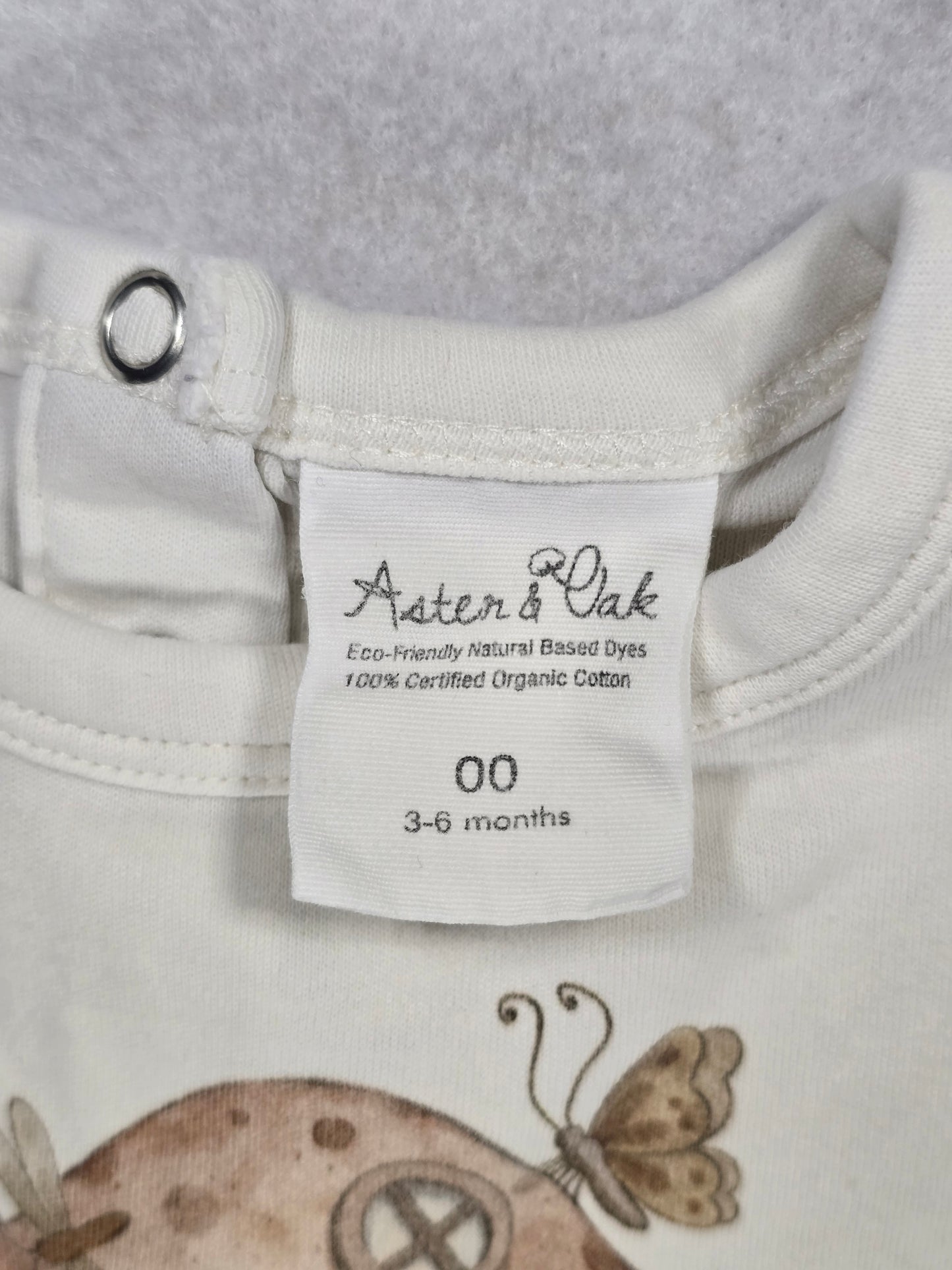 Aster & Oak: Set