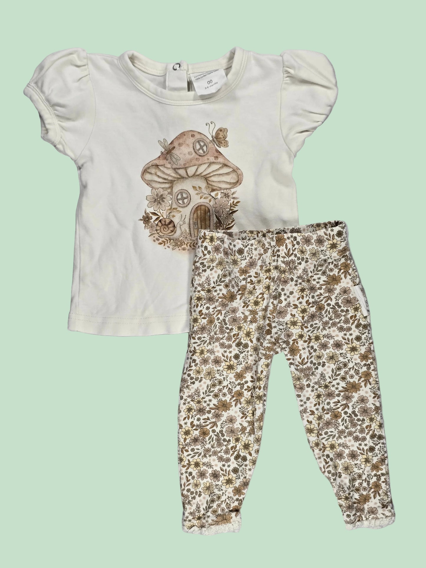Aster & Oak: Set