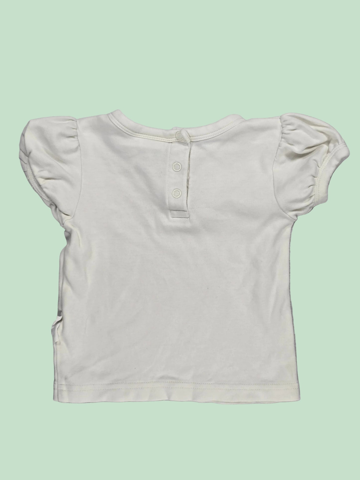 Aster & Oak: Set
