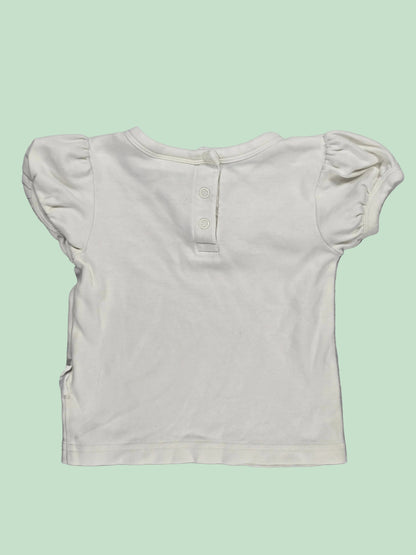 Aster & Oak: Set